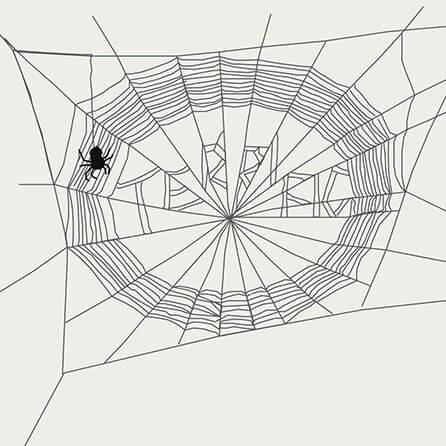 Illustration of a circular spider web. The word terrfic is formed by web lines in the center. A small black spider hangs from a web line in the top left of the web.